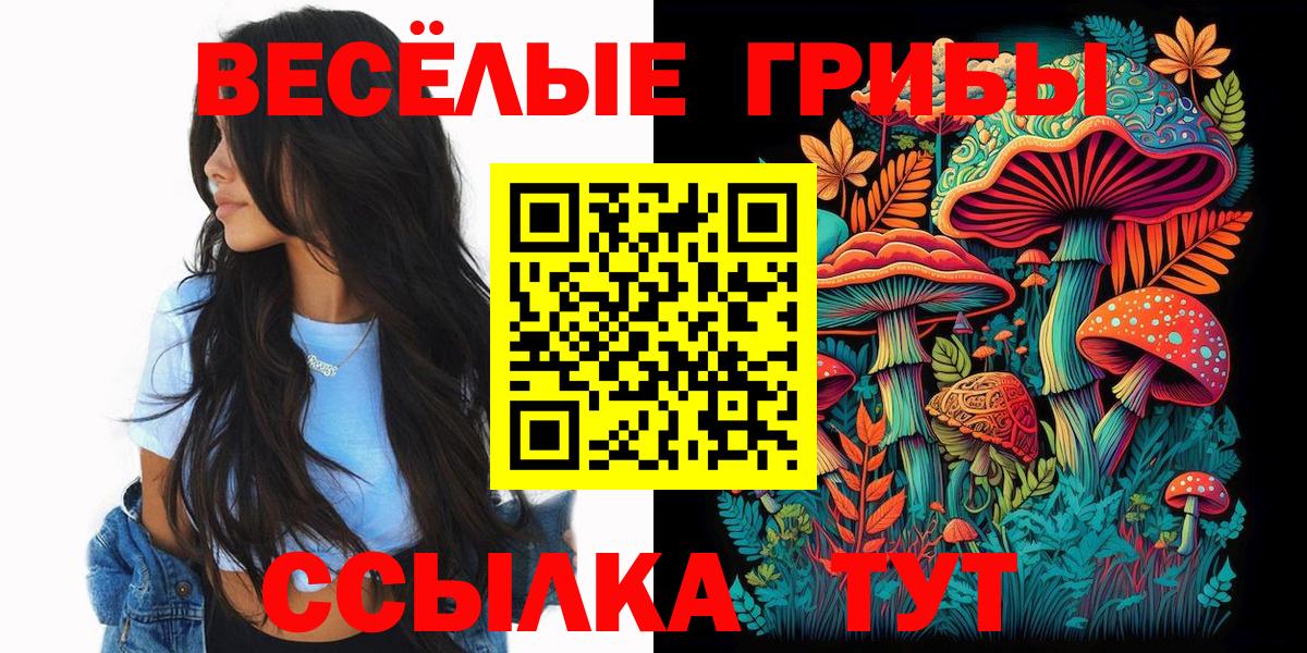 Псилоцибиновые грибы Psilocybine cubensis  что такое   Зеленодольск  Вход с VPN 